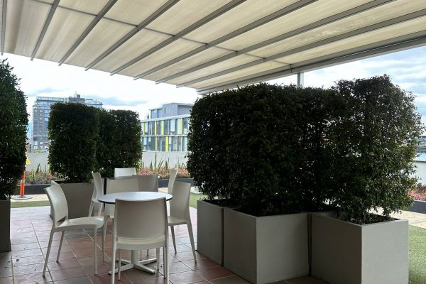 WhatsApp Image 2025-10-30 at 11.15.34 AM (1)